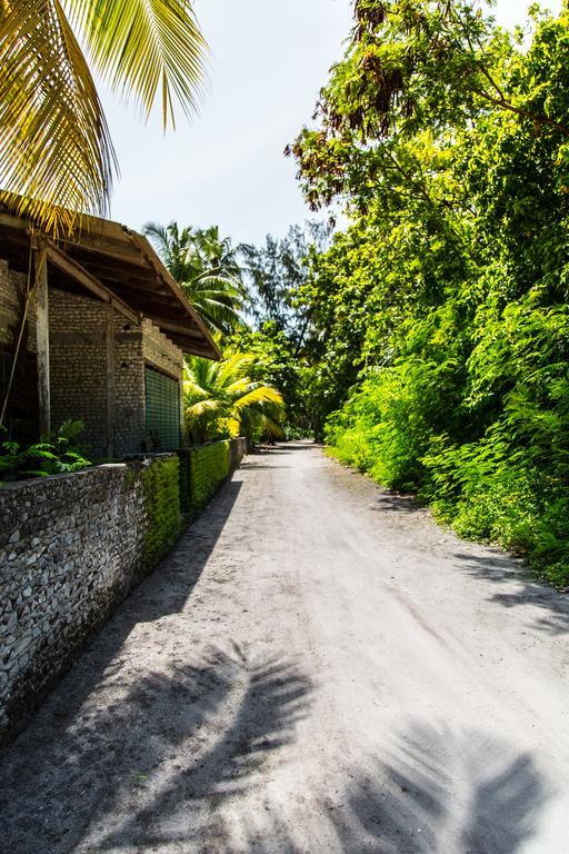 Villa Rosa Maldives Feridhoo Zewnętrze zdjęcie